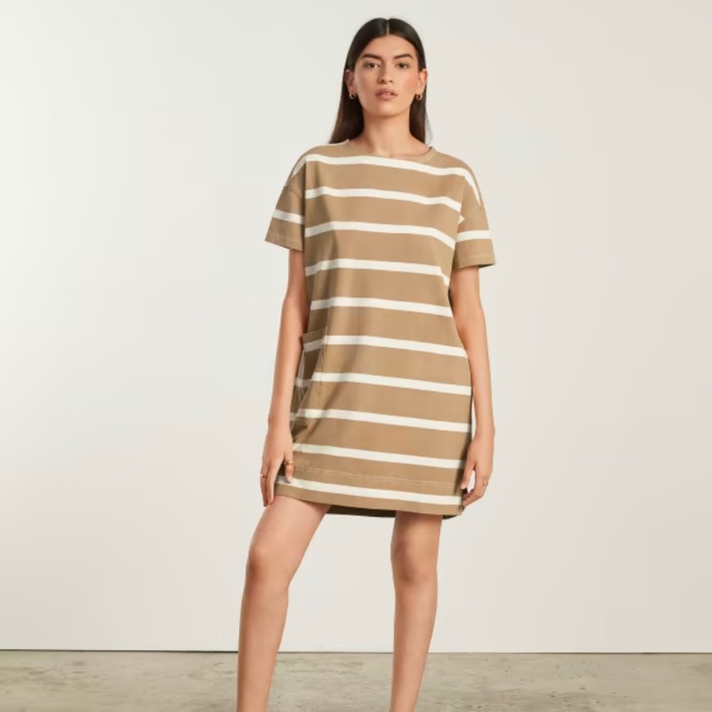 NWT Everlane Oversized Mariners Dress